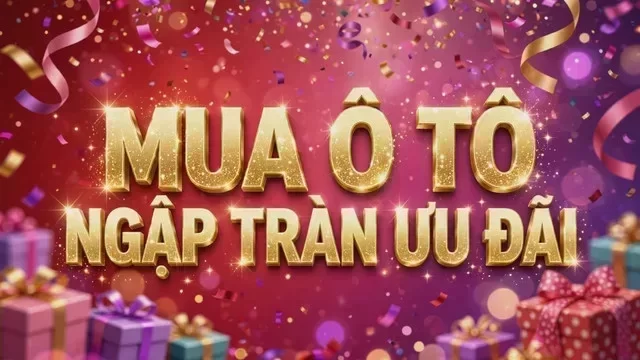 Địa điểm hỗ trợ xem xe tại Ninh Bình